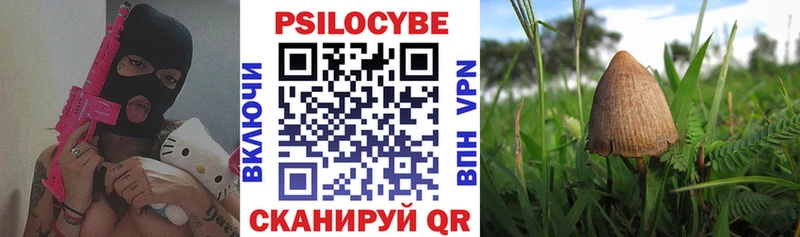 Псилоцибиновые грибы MAGIC MUSHROOMS  Гороховец 