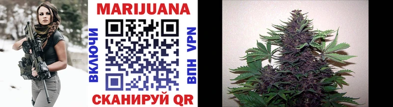 Конопля Ganja Гороховец